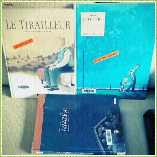 quelques instants de lecture,rendez vous mensuel made in mariejuliet,livres et instants lecture en photos,mises en scène,plus on est de fous plus on s'en met plein la vue